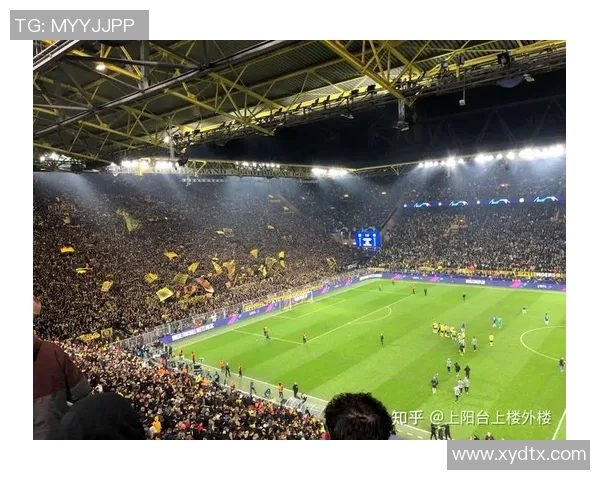 成都足球队灵活性引发热议球迷与专家各执己见的背后故事