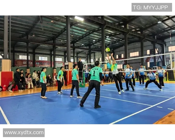 排球心理素质分析：广州排球队荣获全国第三名的背后故事