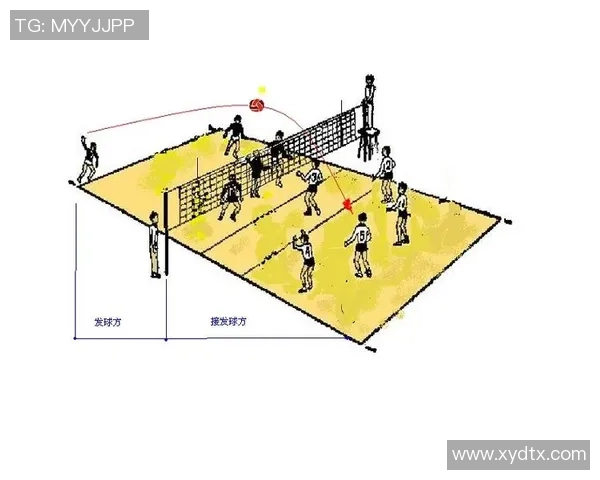 排球战术揭秘：深入分析北京排球队的制胜之道与训练秘诀