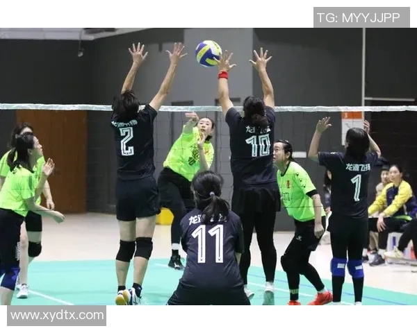 权威发布：2023年排球配合实力榜单全面解析与评比